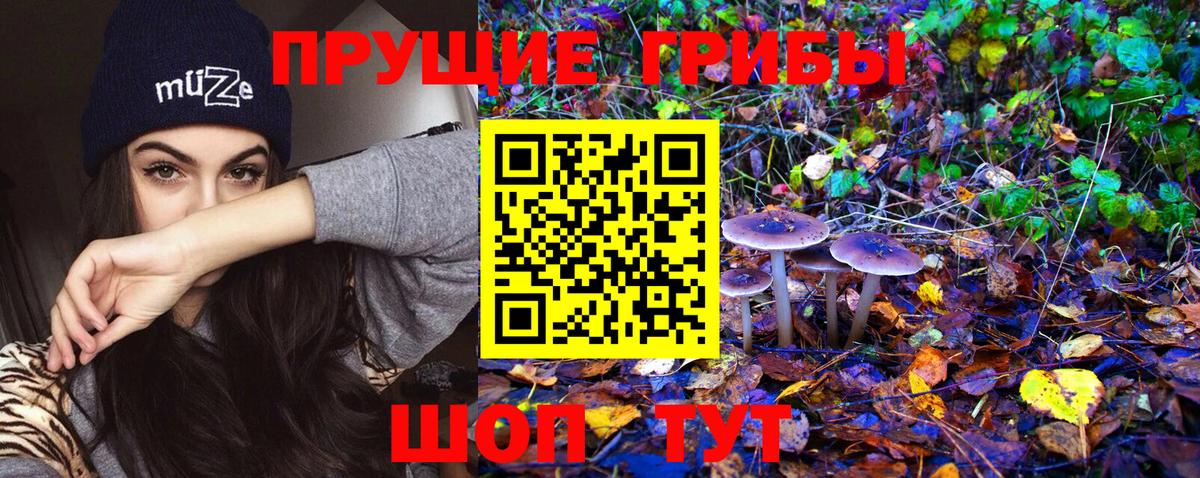 Псилоцибиновые грибы Cubensis  Вход с VPN  закладки  Псилоцибиновые грибы Cubensis  Кимовск 